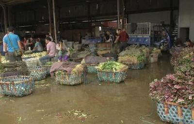 菜價持續走低，應季蔬菜批量上市成主因