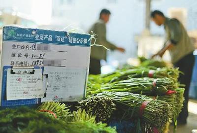 韭菜雙證制辦理流程與新鮮水果零售業務指南